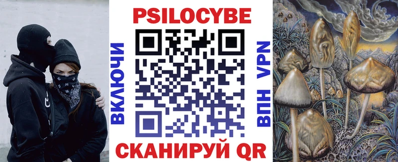 darknet телеграм  Кумертау  Псилоцибиновые грибы мухоморы  продажа наркотиков 