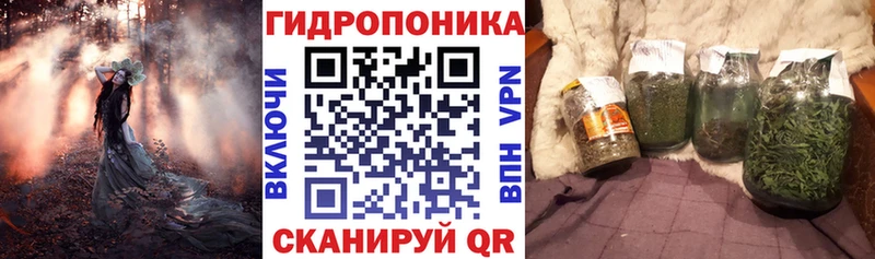 блэк спрут ССЫЛКА  Кумертау  Шишки марихуана сатива 
